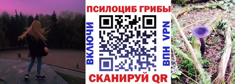 наркошоп  MEGA зеркало  Псилоцибиновые грибы мухоморы  Малая Вишера 